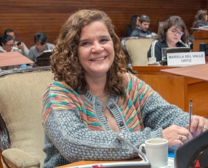 Diputada alvarado: &ldquo;es una verg&uuml;enza que hagan pol&iacute;tiquer&iacute;a con el fr&iacute;o de los juje&ntilde;os&rdquo;.