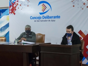 Avanzan en proyecto de ordenanza referido a regular el uso de veredas