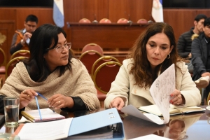 La Comisi&oacute;n de Pueblos Ind&iacute;genas recibi&oacute; a representantes de la comunidad de Coranzul&iacute;
