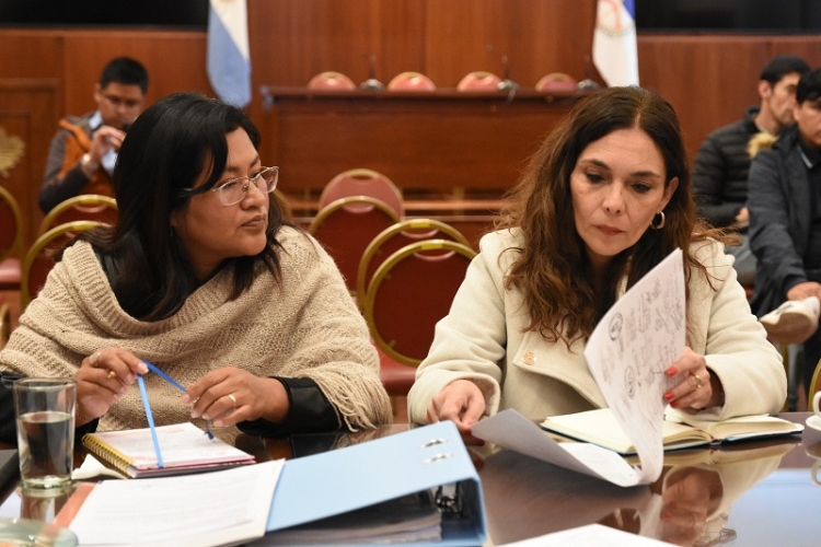 La Comisi&oacute;n de Pueblos Ind&iacute;genas recibi&oacute; a representantes de la comunidad de Coranzul&iacute;