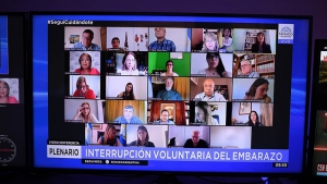 El Senado tratar&aacute; este martes el proyecto de Ley de Interrupci&oacute;n Legal del Embarazo
