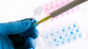 Argentina podr&iacute;a contar con una vacuna propia contra el coronavirus el a&ntilde;o pr&oacute;ximo
