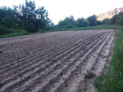 El Gobierno provincial asiste a productores afectados por el temporal