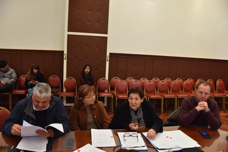 La Comisi&oacute;n de Educaci&oacute;n realiz&oacute; reuni&oacute;n de trabajo sobre proyectos y disposiciones de grilla docente