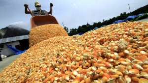 Corrientes, La Pampa y Santiago del Estero, &uacute;nicas provincias que aumentaron exportaciones