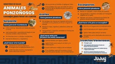 Verano saludable: c&oacute;mo prevenir picaduras de animales ponzo&ntilde;osos