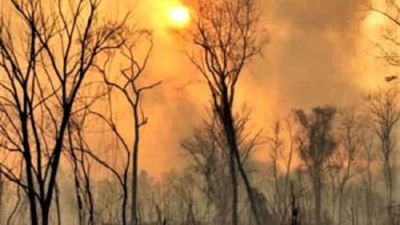 Gobierno mult&oacute; a personas que causaron incendios forestales