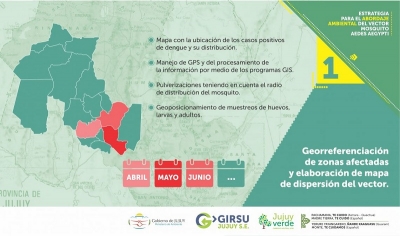Estrategia para el abordaje ambiental del vector mosquito aedes aegypti
