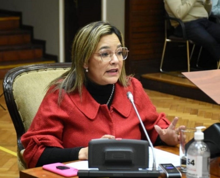 &ldquo;La inseguridad destruye a los argentinos y ellos se ocupan de la bolsa de gatos del partido Justicialista&rdquo;