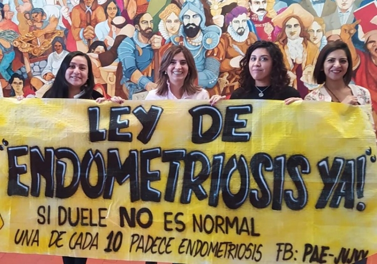 &ldquo;El veto a la ley de endometriosis es una falta de respeto a la legislatura y a las pacientes con esa enfermedad&rdquo;