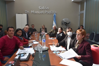 Plenario de comisiones de salud p&uacute;blica y legislaci&oacute;n general