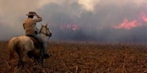 El Banco Naci&oacute;n lanza cr&eacute;ditos especiales para productores afectados por los incendios