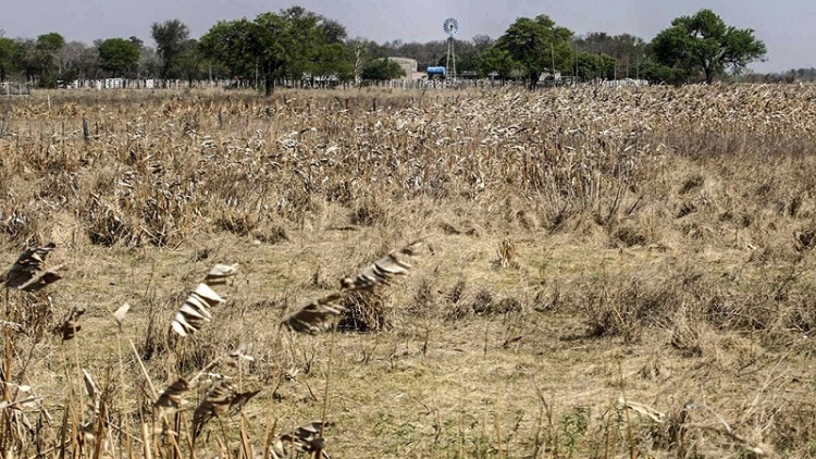 Agricultura advirti&oacute; sobre la sequ&iacute;a y prometi&oacute; "acompa&ntilde;ar" al sector
