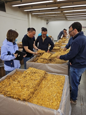 Inspección de calidad y negociación de precios con china Tobacco International