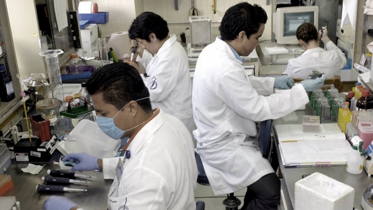 Relanzaron el programa Ra&iacute;ces para repatriar cient&iacute;ficos argentinos que trabajan en el exterior