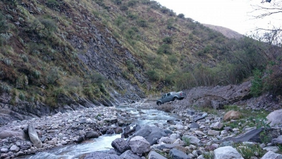 Intenso operativo rastrillaje para la b&uacute;squeda de ejemplares de c&oacute;ndor andino