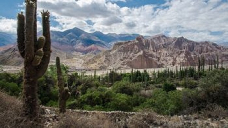 La esencia de Tilcara se enciende en su cl&aacute;sico "Enero Tilcare&ntilde;o" en su sexag&eacute;sima octava edici&oacute;n